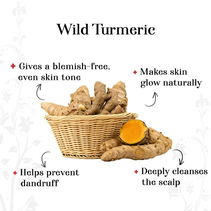 Alps Goodness Powder - Wild Turmeric (50 gm)| Kasturi Haldi Powder| Wild Turmeric powder| 100% Natural Powder | No Chemicals, No Preservatives, No Pesticides | Face Mask for Even Toned Skin | Face Mask for Glow