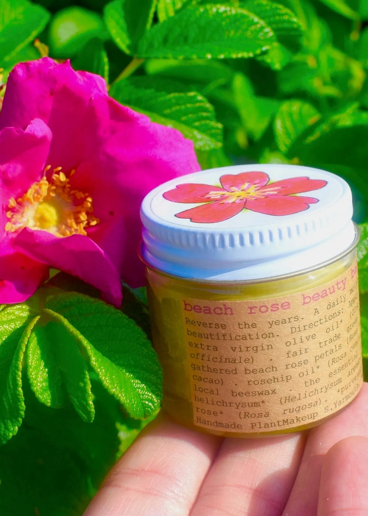 Beach Rose Beauty Balm