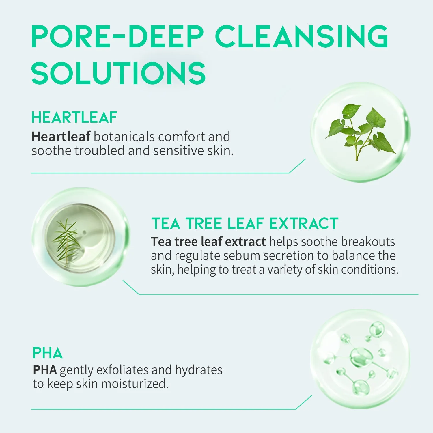 Heartleaf Pore Zero Cleanser