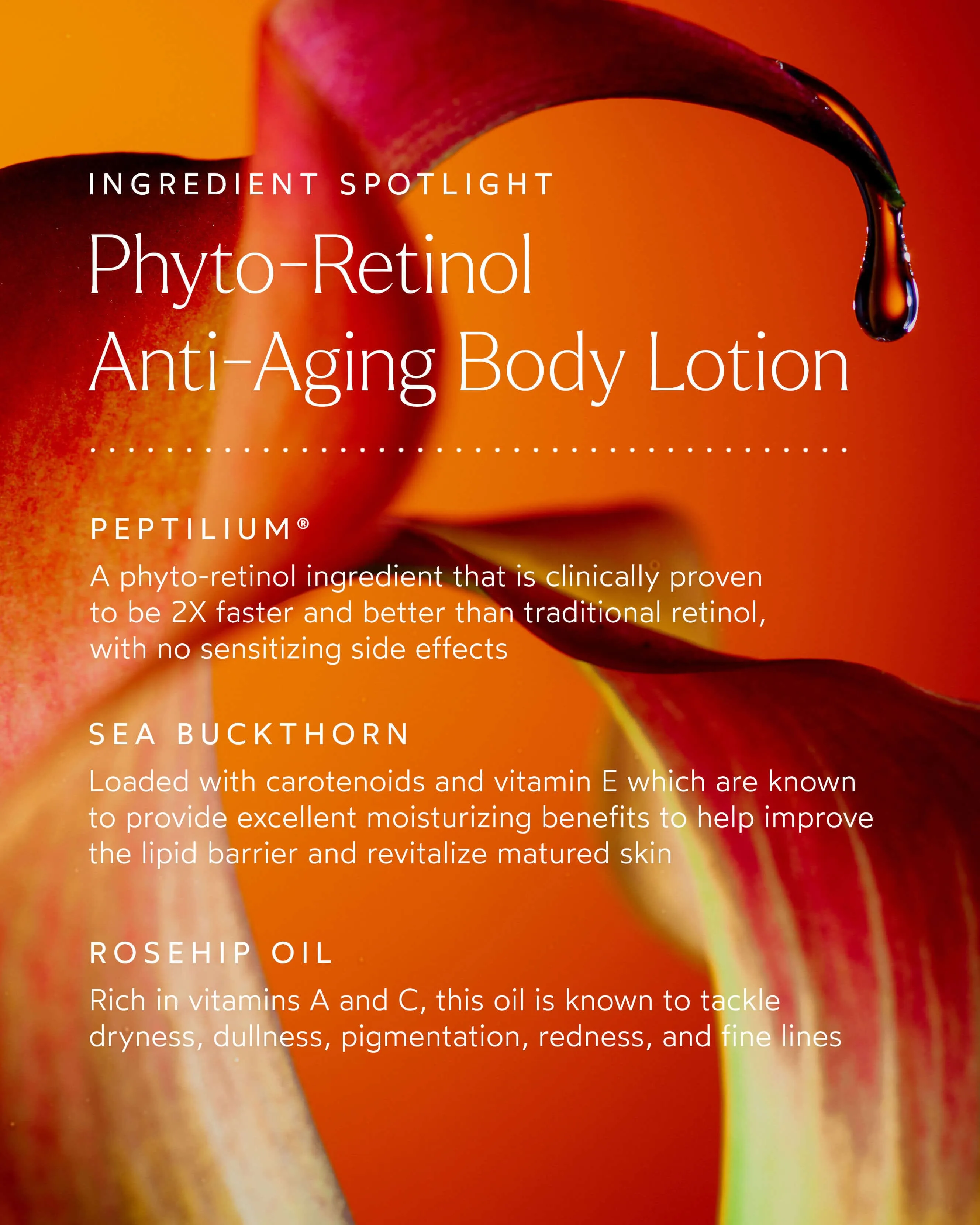 Phyto-Retinol Anti-Aging Body Lotion