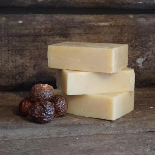 Soapnut soap (for face, hands, hair and body)